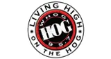 Logo da The Hog 95.7 FM
