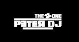 Logo da The number one radio