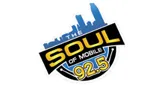 Logo da The Soul of Mobile