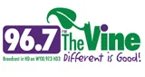 The Vine