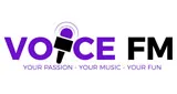 Logo da The Voice Radio