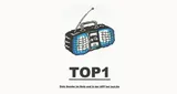 Logo da Top1
