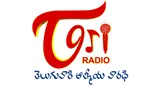 Logo da TORI - Telugu One Radio