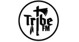 Logo da TriBe FM