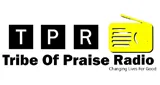 Logo da Tribe of Praise Radio