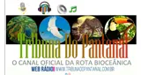 Logo da Tribuna Do Pantanal