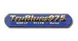 Logo da Tru Blues 97.5