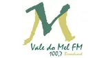 Logo da Vale do Mel FM