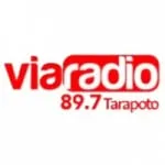 Logo da VIA Radio 89.7 FM