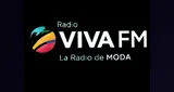 Logo da Viva Fm