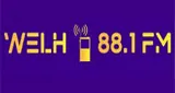 Logo da WELH