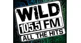 Logo da Wild 105.5