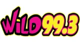 Logo da Wild 99.3