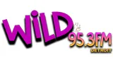 Logo da Wild