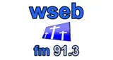 Logo da WSEB 91.3 FM