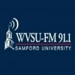 Logo da WVSU 91.1 FM