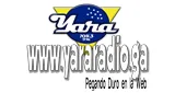 Yara Radio