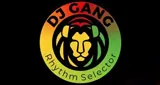 Logo da Yard Vybz Reggae Radio 506