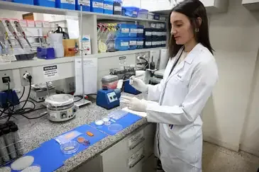 Carne de laboratório: conheça a técnica desenvolvida pela Embrapa