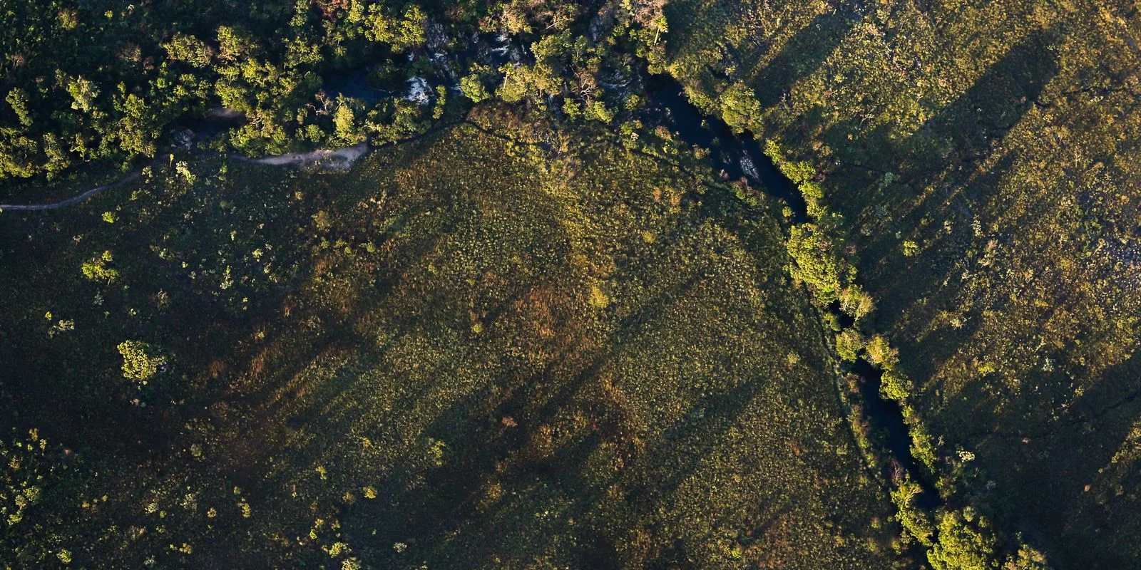 Financiamentos de projetos rurais sustentáveis terão juros mais baixos