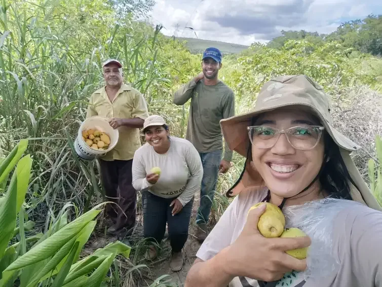 Mercado financeiro abre espaço às iniciativas que preservam a floresta